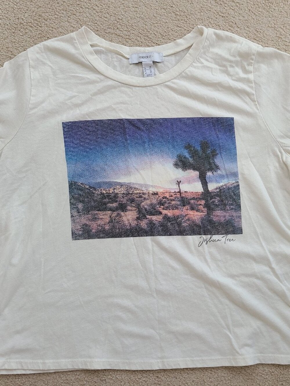 Joshua Tree landscape t-shirt